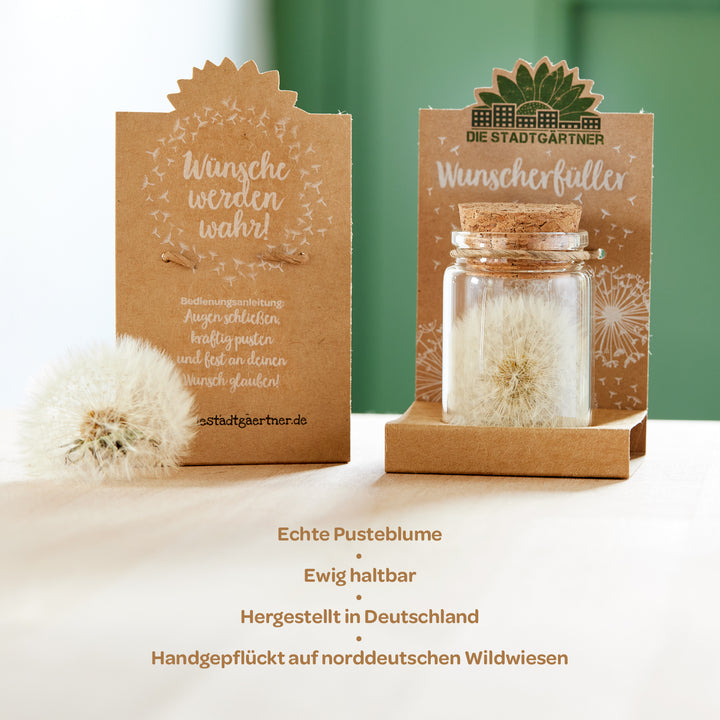 Pusteblume im Glas, Ewig haltbar, Hergestellt in Deutschland