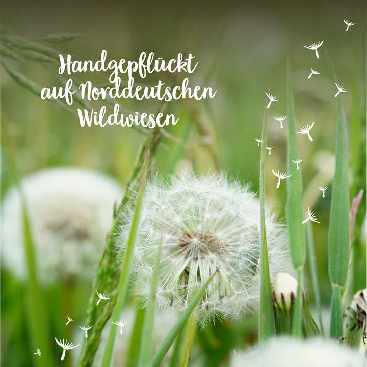Löwenzahn auf einer Wiese mit dem Text „Handgepflückt auf Norddeutschen Wildwiesen“.