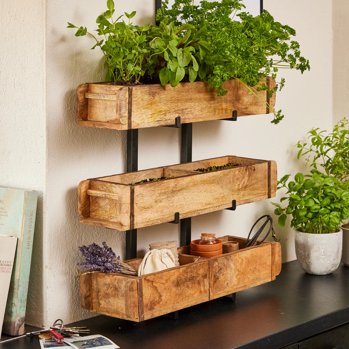Holzregal an der Wand mit drei Ebenen, gefüllt mit Kräutern und kleinen Haushaltsgegenständen, daneben steht ein Blumentopf mit Basilikum.