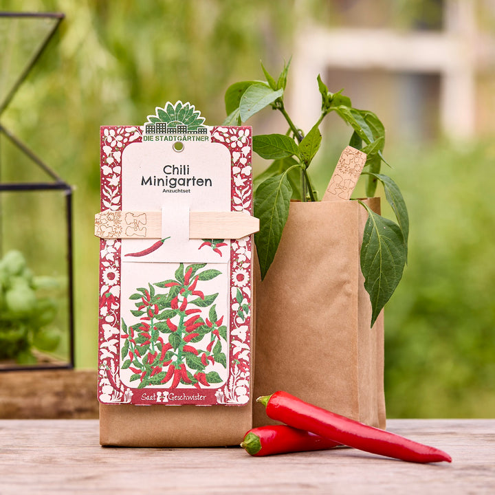Chili Minigarten Anzuchtset in brauner Tüte mit grüner Pflanze und zwei roten Chilischoten auf einem Holztisch, im Hintergrund Garten.