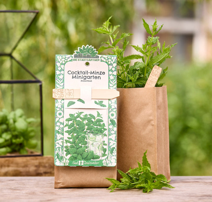 Anzuchtset für Cocktail-Minze in brauner Papiertüte mit frischer Minzpflanze und Holzschild, im Hintergrund grüner Garten.