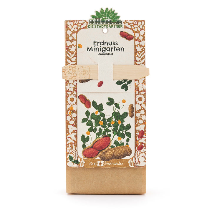 Erdnuss Minigarten Anzuchtset mit dekorativer Verpackung und Abbildung einer Erdnusspflanze.