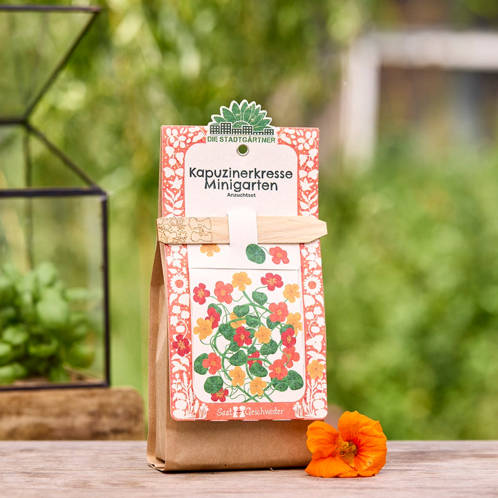 Braune Tüte mit einem Anzuchtset für Kapuzinerkresse, dekoriert mit einer bunten Illustration der Blumen und einem Holzstecker, im Garten auf einem Holztisch, daneben eine orange Kapuzinerkresse-Blüte.