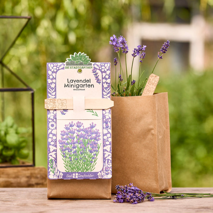 Anzuchtset für einen Lavendel-Minigarten in brauner Papiertüte, mit blühenden Lavendelzweigen im Hintergrund.