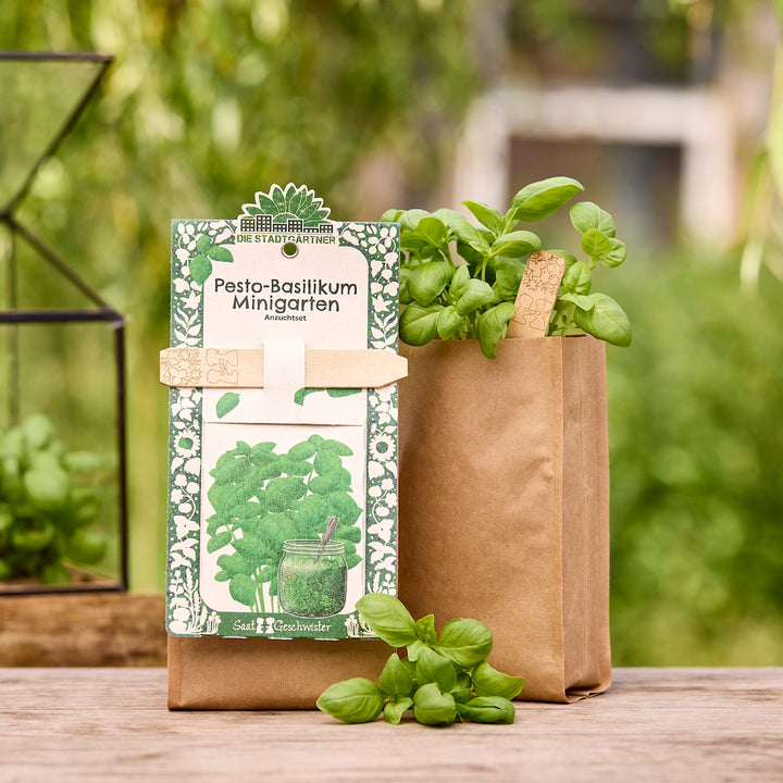 Papiertüte mit Basilikum-Pflanze und Bausatz für einen Pesto-Basilikum Minigarten auf einem Holztisch im Garten.
