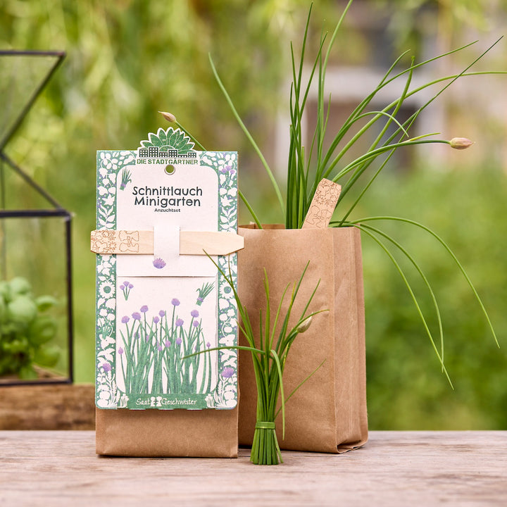 Zwei braune Papiertüten mit Schnittlauchpflanzen und ein Anzuchtset mit der Aufschrift "Schnittlauch Minigarten" auf einem Holztisch im Grünen.