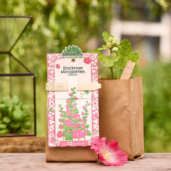 Ein Anzuchtset „Stockrose Minigarten“ in einer braunen Papiertüte, daneben eine junge Stockrosenpflanze und eine rosa Blüte, im Hintergrund grüne Pflanzen.