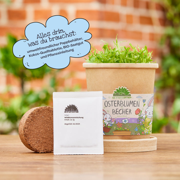 Umweltfreundlicher Osterblumen-Becher mit grünen Pflanzen, Kokos-Quelltablette und BIO-Saatgut vor einem unscharfen Gartenhintergrund; neben einer blauen Wolke mit Informationen zum Set-Inhalt.