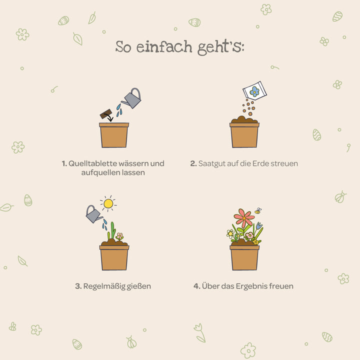 Grafische Anleitung zum Pflanzen: 1. Quelltablette wässern, 2. Saatgut aufstreuen, 3. Regelmäßig gießen, 4. Über blühende Pflanzen freuen.