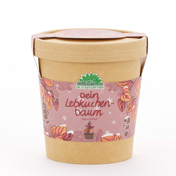 Pflanzset in einem braunen Becher mit weihnachtlich dekoriertem Etikett, Aufschrift „Dein Lebkuchenbaum“ und dem Logo „Die Stadtgärtner“.
