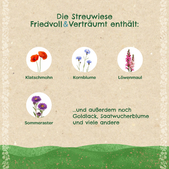 Beschreibung des Inhalts einer Blumenmischung auf Deutsch mit Illustrationen von Klatschmohn, Kornblume, Löwenmaul und Sommeraster, sowie Text zu weiteren enthaltenen Blumen wie Goldlack und Saatwucherblume.