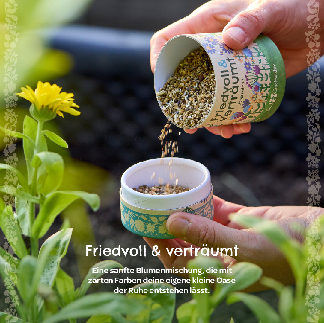 Zwei Hände halten eine Dose mit Blumensamen, die in einen Garten mit gelber Blüte gestreut werden. Text auf Deutsch beschreibt eine friedvolle und verträumte Blumenmischung.