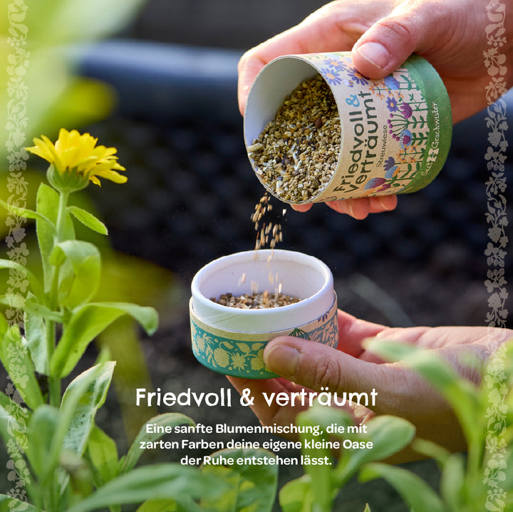 Zwei Hände halten eine Dose mit Blumensamen, die in einen Garten mit gelber Blüte gestreut werden. Text auf Deutsch beschreibt eine friedvolle und verträumte Blumenmischung.