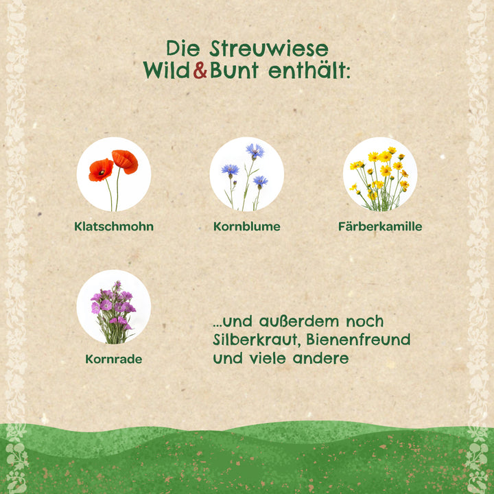 Abbildung mit Illustrationen von Klatschmohn, Kornblume, Färberkamille und Kornrade sowie Text über die enthaltenen Wildblumenarten einer Streuwiesenmischung.