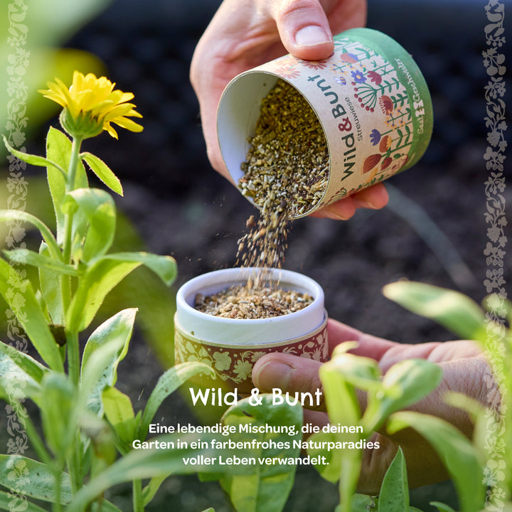 <img src="bild.jpg" alt="Hand streut Wildblumensamen aus einer Dose neben eine gelbe Blume im Garten." />