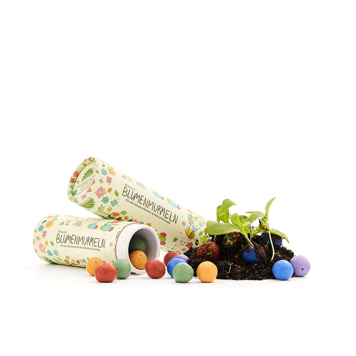 Zwei Dosen mit der Aufschrift "Blumenmurmeln", bunte Samenbomben und Erde, aus der Pflanzen sprießen.