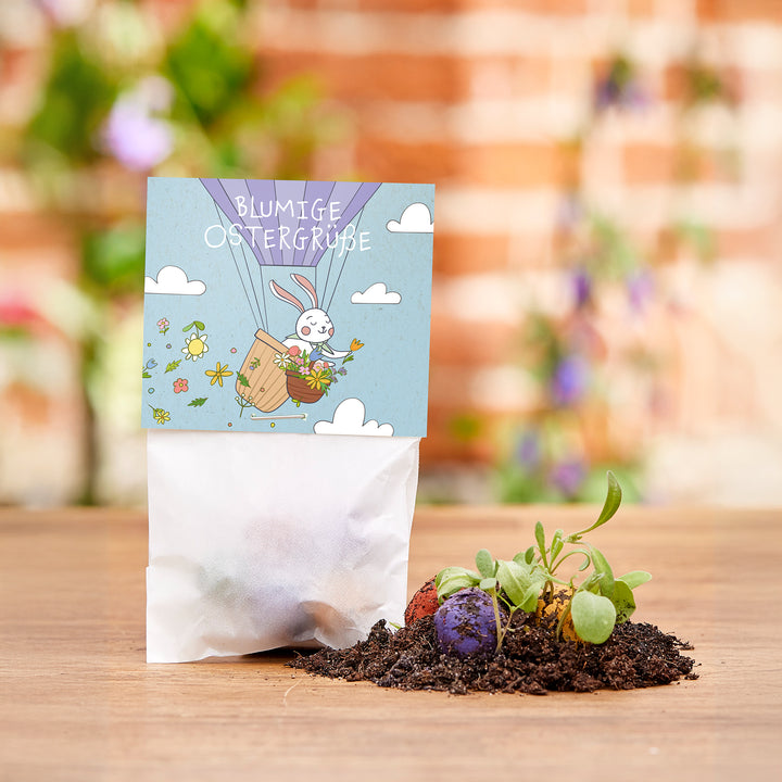 Ein kleines Tütchen mit der Aufschrift "Blumige Ostergrüße", daneben Erde mit bunten Samenbomben und jungen Pflanzen.