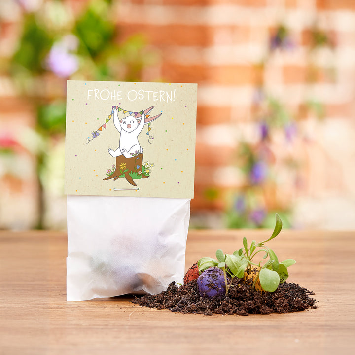 Ostergeschenk mit Karte "Frohe Ostern!", Erde, bunten Samenbomben und kleinen Pflänzchen auf einem Holztisch.