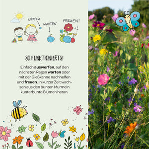 Anleitung wie die Blumenmurmeln funktionieren