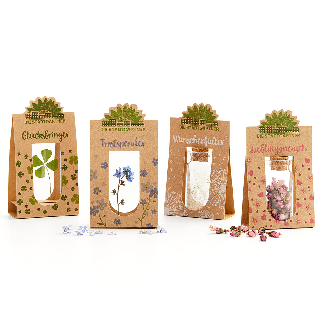 Vier Geschenkverpackungen aus Karton mit dem Schriftzug "Die Stadtgärtner", jeweils mit kleinen Gläschen und verschiedenen Blumen oder Pflanzen, ansprechend dekoriert und beschriftet.