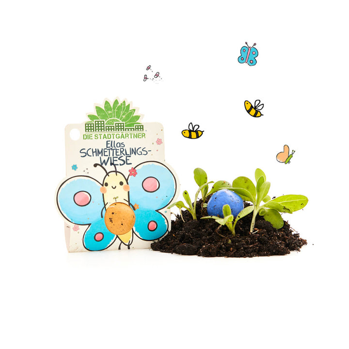 Ein buntes Saatgut-Set namens "Ellas Schmetterlingswiese" mit einer gezeichneten Schmetterlingsfigur, Erde, Pflanzenkeimlingen und einer blauen Samenbombe, umgeben von gezeichneten Insekten und Schmetterlingen.