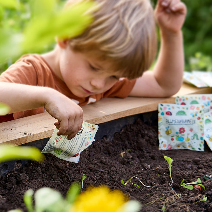 Ein Junge pflanzt Samen in ein Gartenbeet und hält dabei eine Saatgut-Tüte in der Hand.