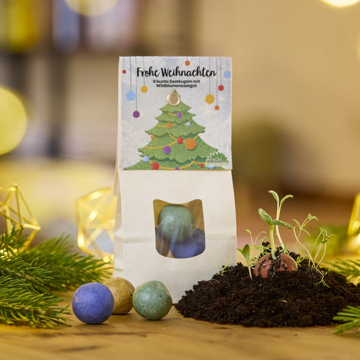 Papiertüte mit Aufschrift „Frohe Weihnachten“, bunten Saatkugeln und jungen Pflanzen auf Erde, dekoriert mit Tannenzweigen und Lichtern.