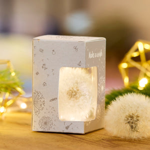Verpackung mit einem Löwenzahn-Pusteblume hinter durchsichtigem Fenster, daneben eine weitere Pusteblume, im Hintergrund Lichter und Dekoration.