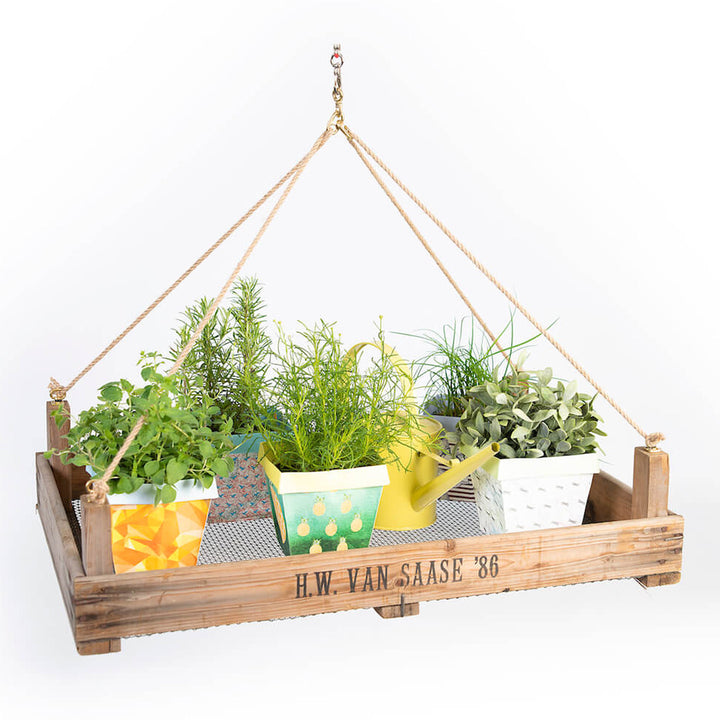 Dekorationsvorschlag für Blumenampel