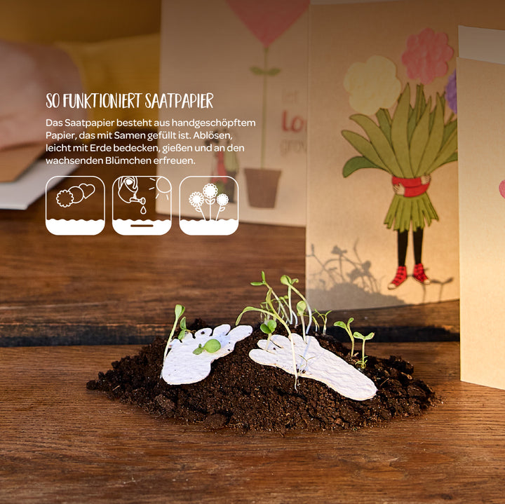 Saatpapier mit Keimlingen liegt auf Erde, im Hintergrund stehen Karten mit Blumendesign und eine Anleitung zur Verwendung von Saatpapier ist zu sehen.