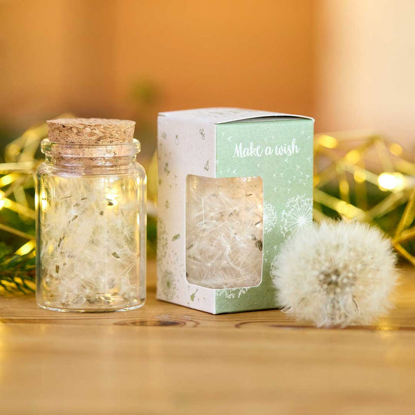 Wensvervuller met paardenbloemparaplu