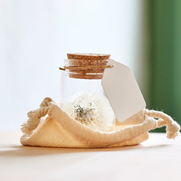 Complete paardenbloemen in een glazen pot.