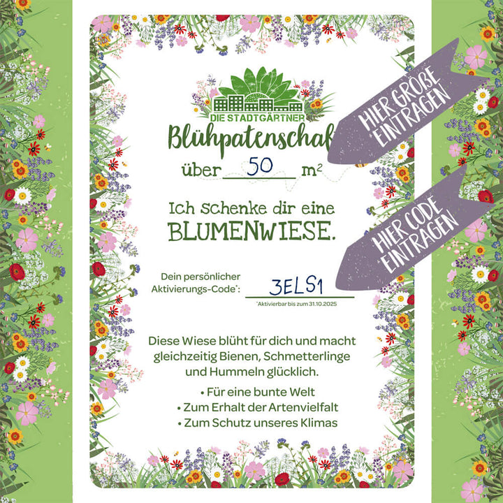 Blühpatenschaft-Urkunde mit Blumenwiesen-Motiv, Text für eine über 50 Quadratmeter große Blumenwiese, persönliche Aktivierungscode-Felder, bunte Rahmen mit Blumen und Hinweispfeilen "Hier Größe eintragen" und "Hier Code eintragen".