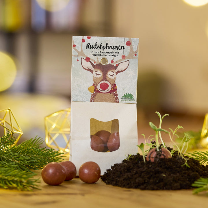 Papiertüte mit der Aufschrift „Rudolphnasen“ und Illustration eines Rentiers, enthält rote Saatkugeln für Wildblumen; einige Kugeln liegen auf dem Tisch, eine Kugel keimt in Erde.