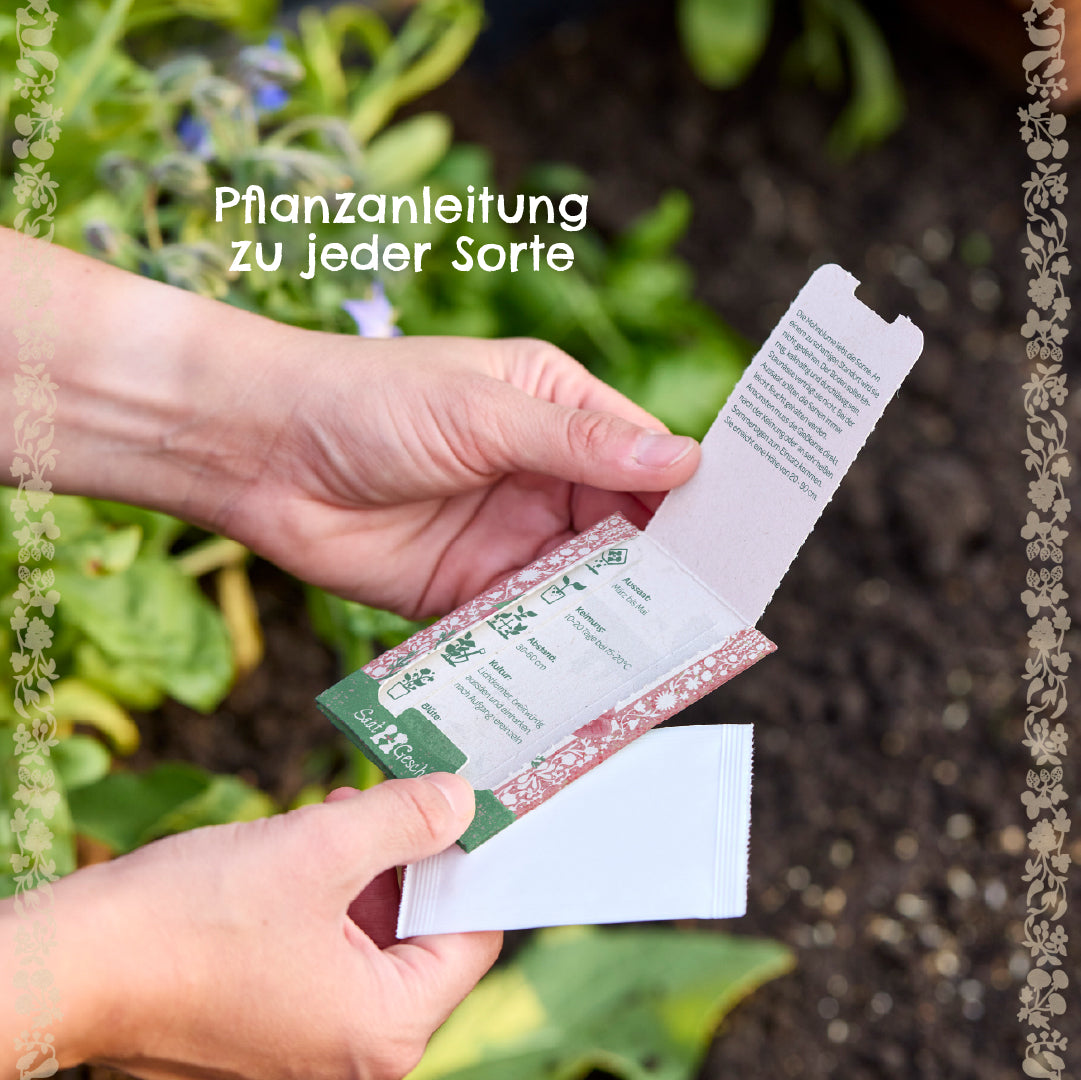 Zwei Hände halten eine geöffnete Saatgutverpackung mit Pflanzanleitung, im Hintergrund sind Pflanzen und Erde zu sehen.