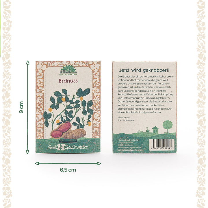 Zwei Erdnuss-Samentüten der Marke "Saatgeschwister" mit einer illustrierten Erdnusspflanze auf der Vorderseite und einer Produktbeschreibung auf der Rückseite, daneben sind Maße von 9 cm Höhe und 6,5 cm Breite angegeben.