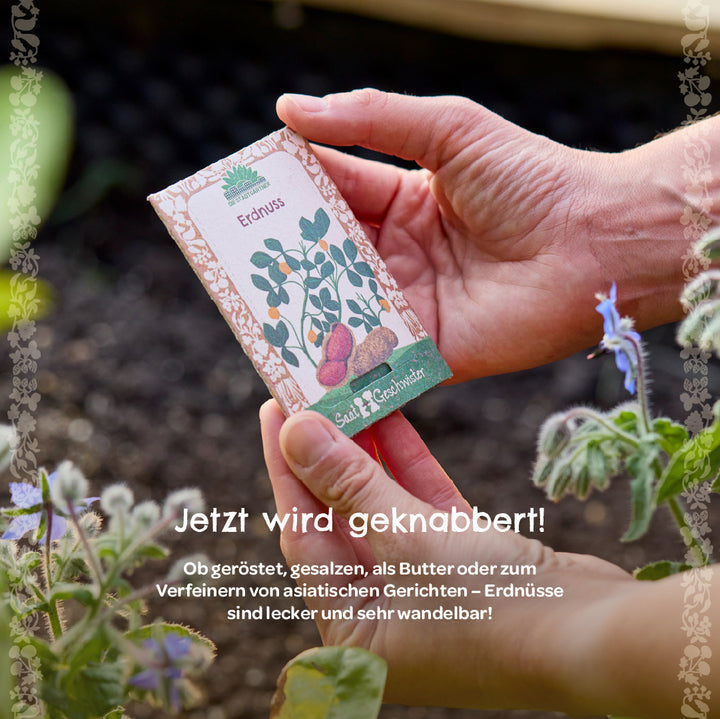 Zwei Hände halten eine Packung Erdnusssamen vor einem Gartenbeet, im Vordergrund sind Pflanzen und eine lila Blüte zu sehen.