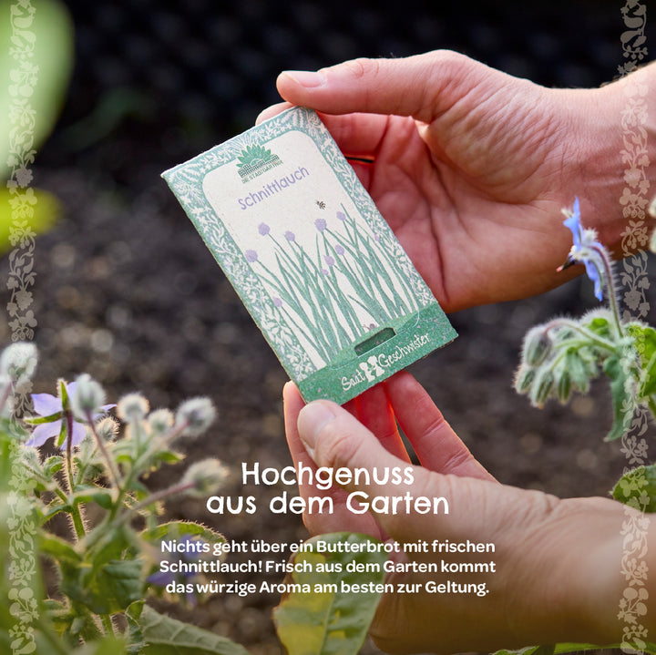Eine Person hält eine Packung Schnittlauch-Samen im Garten, davor blühende Pflanzen und Text mit Gartengenuss-Beschreibung.