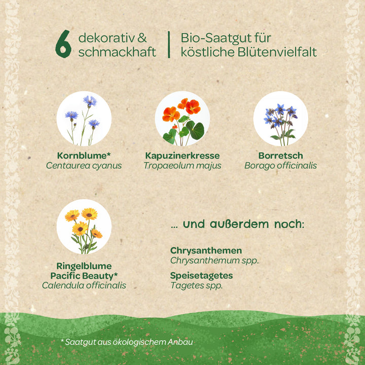 Sechs dekorative und schmackhafte Bio-Blumensamenarten mit Abbildungen: Kornblume, Kapuzinerkresse, Borretsch, Ringelblume sowie zusätzlich Chrysanthemen und Speisetagetes.