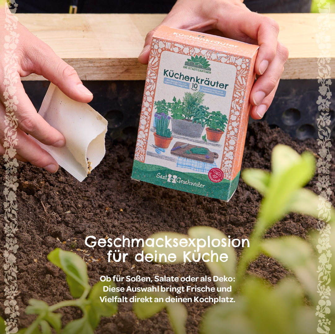 Person hält eine Packung mit Küchenkräutersamen und eine geöffnete Saatguttüte über frischer Erde, daneben grünes Pflänzchen; Text auf Deutsch über Geschmacksexplosion und Frische in der Küche.