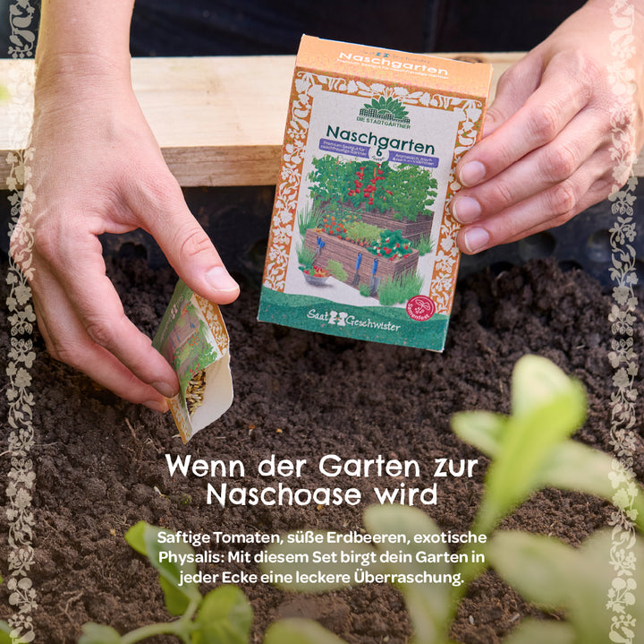 Person hält eine Saatgutpackung „Naschgarten“ und streut Samen in Erde, umgeben von Pflanzen und Text über die Vorteile des Sets.