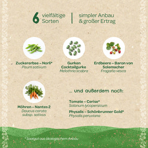 Grafik mit sechs verschiedenen Gemüsesorten: Zuckerschote, Cocktailgurke, Erdbeere, Möhre, Tomate und Physalis, jeweils mit deutschen und botanischen Namen, auf beigem Hintergrund.