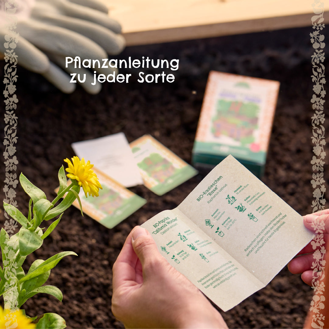 Hände halten eine Pflanzanleitung über einem Beet, im Hintergrund Samenpäckchen und Gartenhandschuhe, daneben eine gelbe Blume.