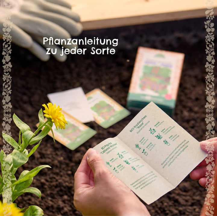 Hände halten eine Pflanzanleitung über einem Beet, im Hintergrund liegen Samenpackungen, eine gelbe Blume und Gartenhandschuhe.