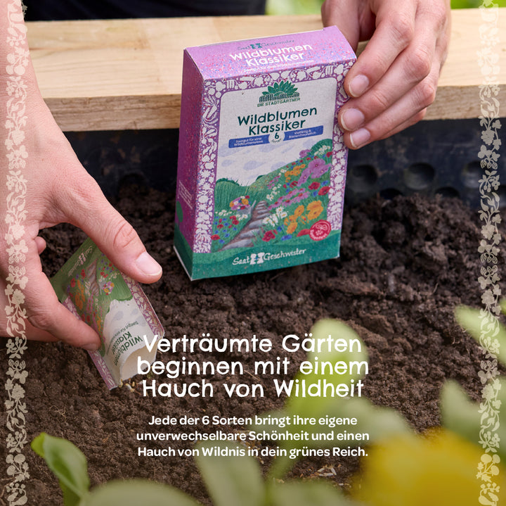 Eine Person hält eine bunte Samenpackung „Wildblumen Klassiker“ über frischer Erde im Garten; Text beschreibt die Wildblumensamen und betont den Hauch von Wildheit für verträumte Gärten.