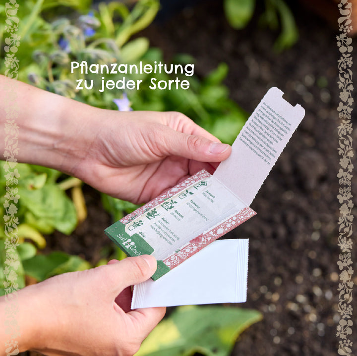 Hände halten eine geöffnete Samenpackung mit Pflanzanleitung im Garten, im Hintergrund grüne Pflanzen und Erde.