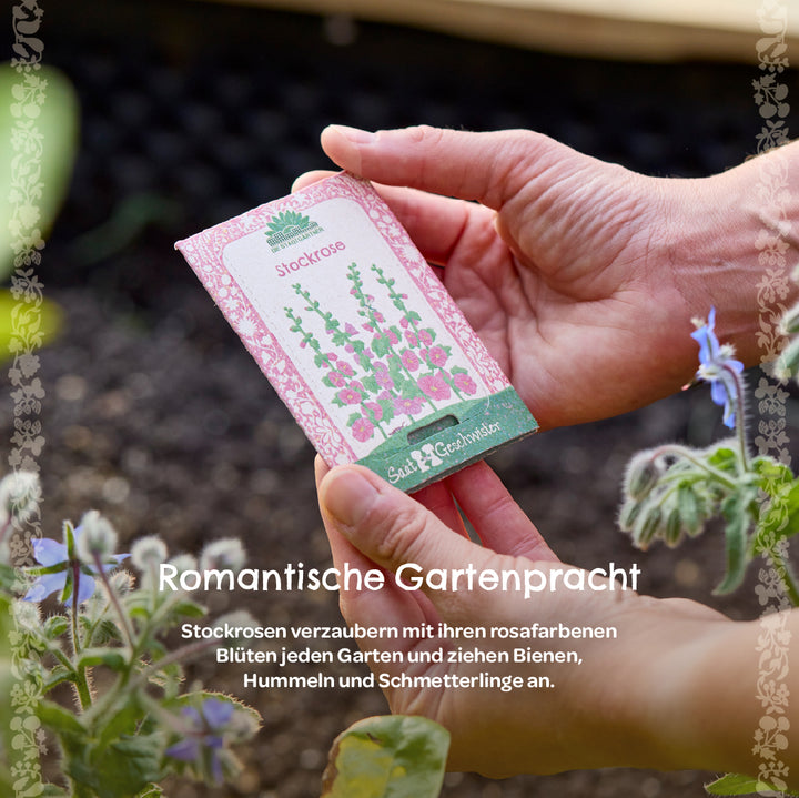Eine Hand hält eine Samenpackung mit Stockrosen vor einem Gartenbeet, im Vordergrund Pflanzen und Blüten.
