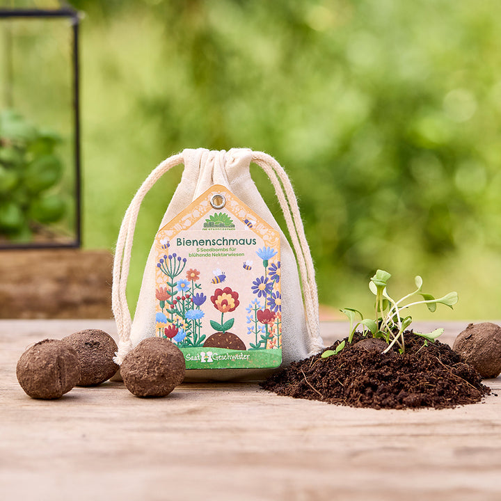 Beutel mit der Aufschrift "Bienenschmaus" neben Seedbombs, Erde und jungen Pflanzen auf Holztisch im Freien.