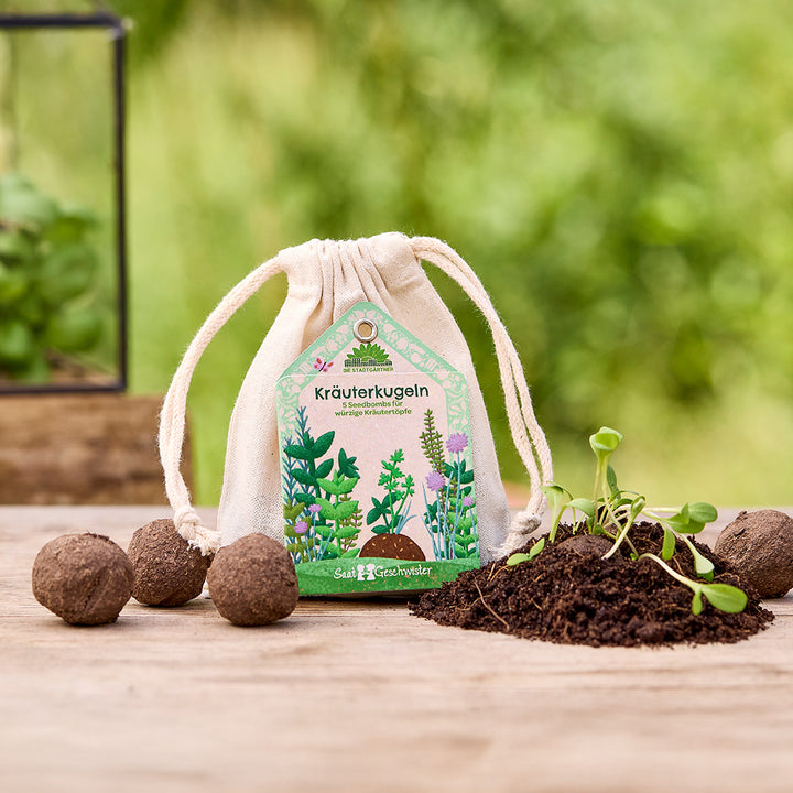 Stoffsäckchen mit der Aufschrift "Kräuterkugeln" und Abbildungen von Kräutern, umgeben von Seedbombs und jungen Pflanzentrieben auf einem Holztisch.