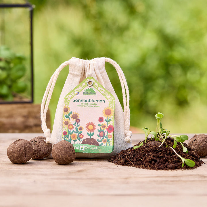 Stoffbeutel mit Sonnenblumen-Samenbomben auf Holztisch, daneben Erde mit jungen Keimlingen und weiteren Samenbomben, im Hintergrund grüne Natur.